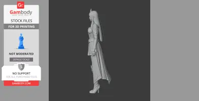 Luterra - Lost Ark Figurine - Character Figure STL