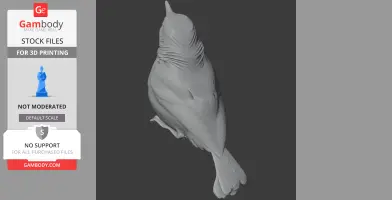 3D model of a band-tailed hornero bird, textured for 3D printing, viewed from a top angle.