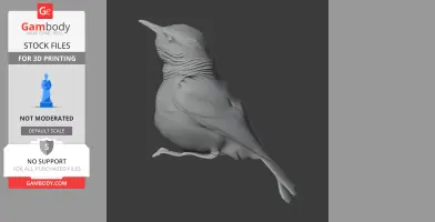 3D model of a band-tailed hornero, showcasing detailed feathers and a poised stance.