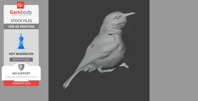 3D model of a band-tailed hornero bird, with detailed feathers and a perched pose.