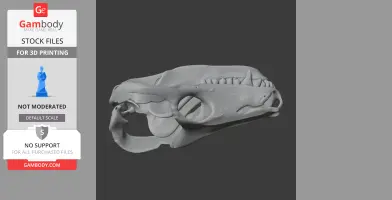 3D model of a Thrinaxodon skull with detailed teeth and bone structure, suitable for 3D printing.