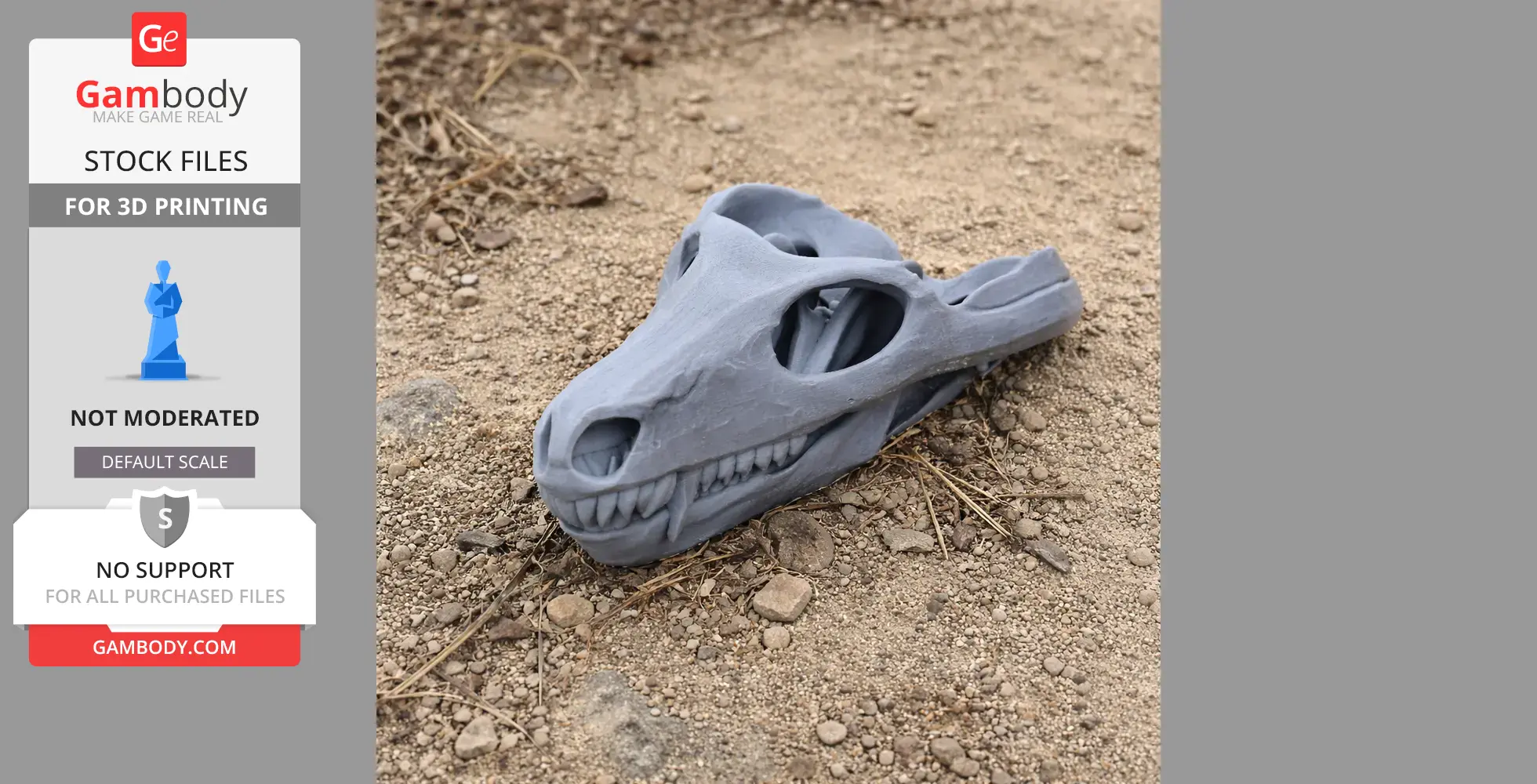 3D printed Thrinaxodon skull model resting on rocky ground.