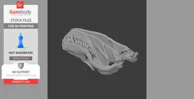 3D model of a Thrinaxodon skull, displayed as a replica for 3D printing.