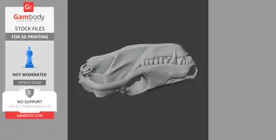 3D model of a Thrinaxodon skull, side view, showcasing teeth and detailed bone structure.