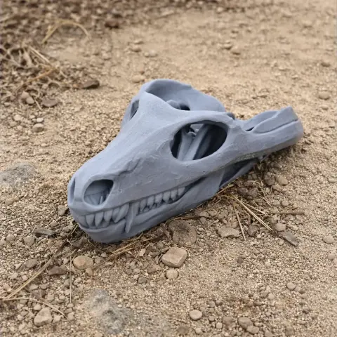 Thrinaxodon Skull - Skull Replica STL