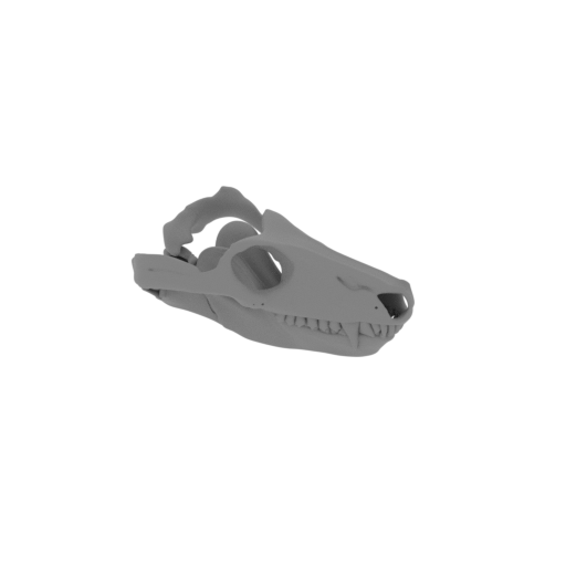 Thrinaxodon Skull.stl