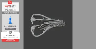 3D-rendered Thrinaxodon skull model, viewed from above, showing detailed cranial structure for printing.