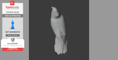 Band-tailed pigeon - Prehistoric Animal STL