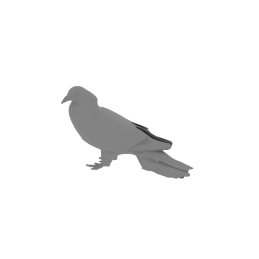 Band-tailed pigeon.stl