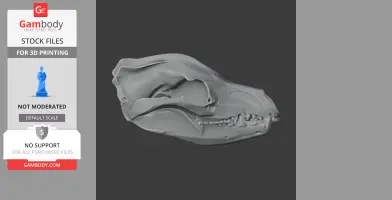 Thylaconus Skull - Skull Replica STL