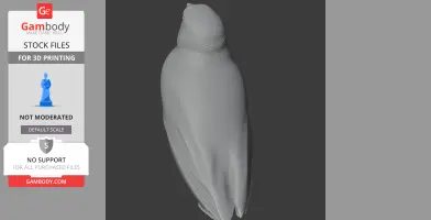 Band-tailed sierra finch - Prehistoric Animal STL