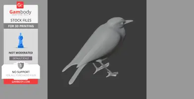 Banda Sea pitta - Prehistoric Animal STL
