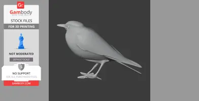 Banda Sea pitta - Prehistoric Animal STL