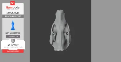 Tiger Quoll Skull - Skull Replica STL