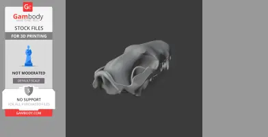 Tiger Quoll Skull - Skull Replica STL