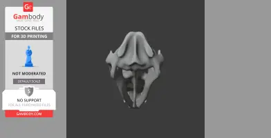 Tiger Quoll Skull - Skull Replica STL