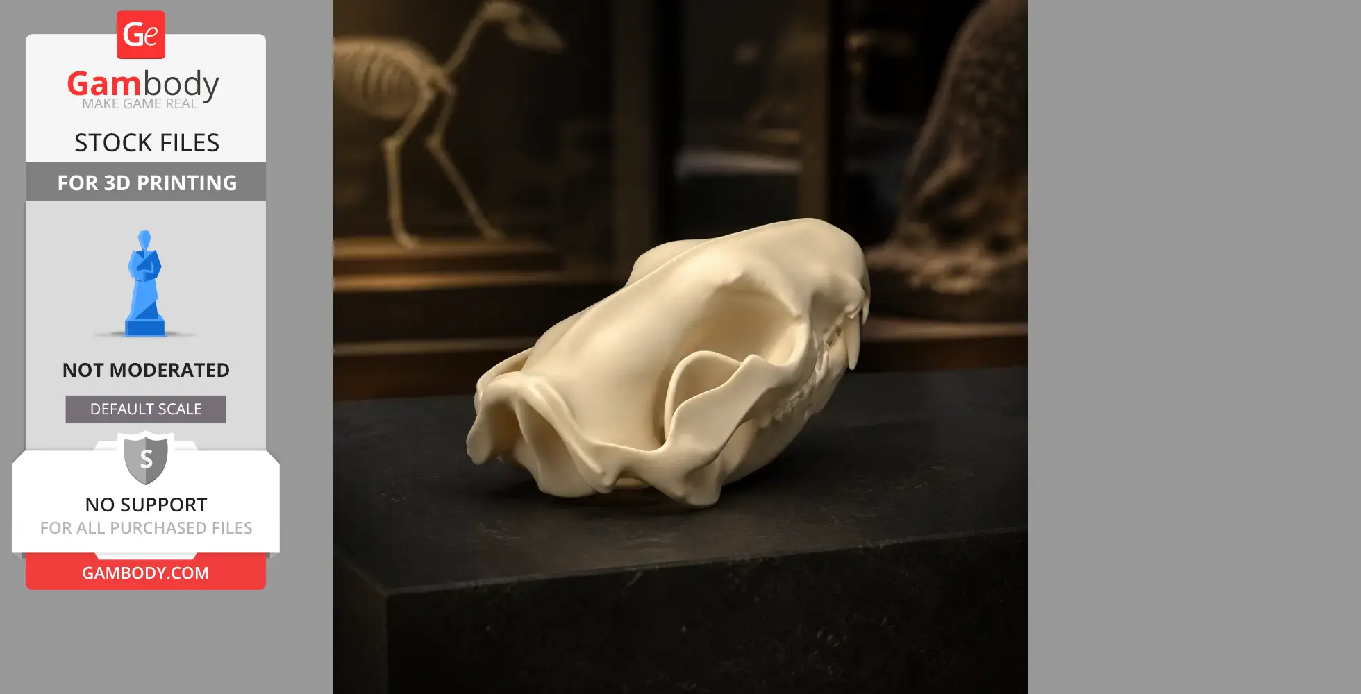 Tiger Quoll Skull - Skull Replica STL