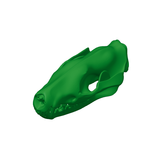Tiger Quoll Skull.3mf