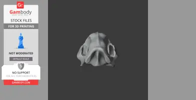 Tiger Quoll Skull - Skull Replica STL