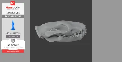 Tiger Quoll Skull - Skull Replica STL