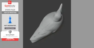 Banded antbird - Prehistoric Animal STL