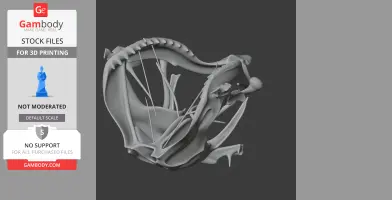 Tiger Shark Skull - Skull Replica STL