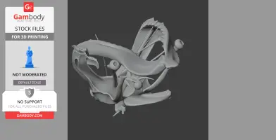 Tiger Shark Skull - Skull Replica STL