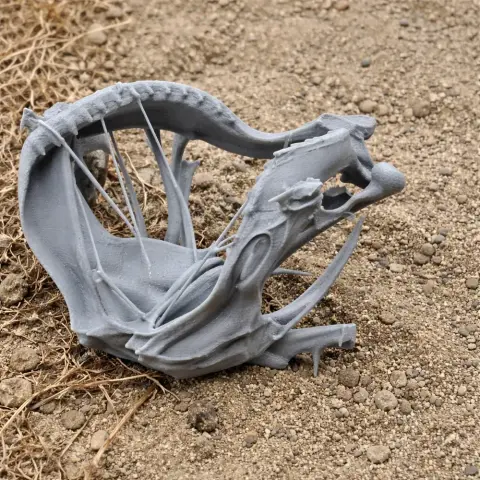 Tiger Shark Skull - Skull Replica STL