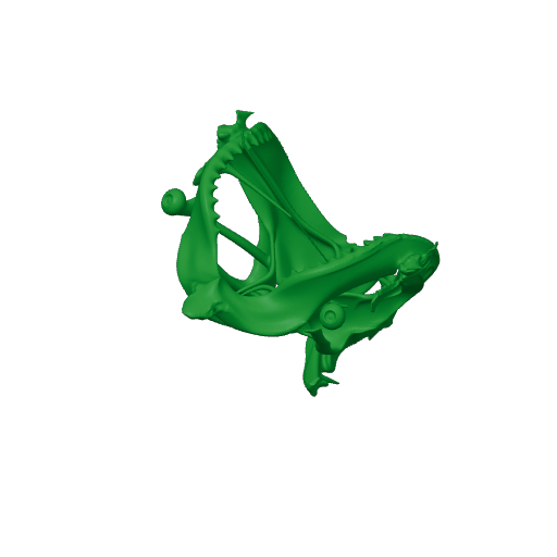Tiger Shark Skull.3mf