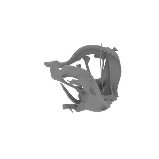 Tiger Shark Skull.stl
