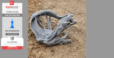 Tiger Shark Skull - Skull Replica STL