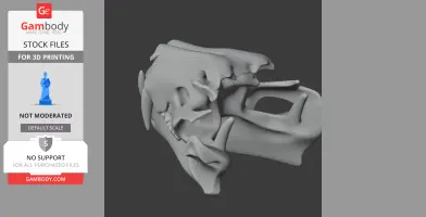 Tiger Skull - Skull Replica STL