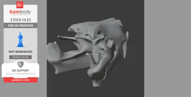 Tiger Skull - Skull Replica STL