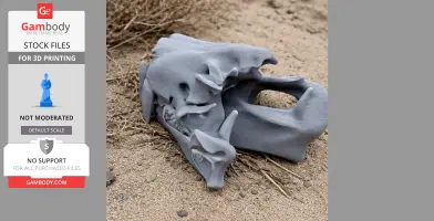 Tiger Skull - Skull Replica STL