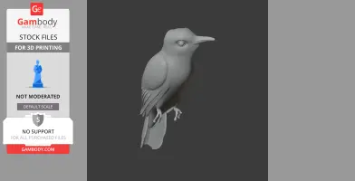 Banded bay cuckoo - Prehistoric Animal STL