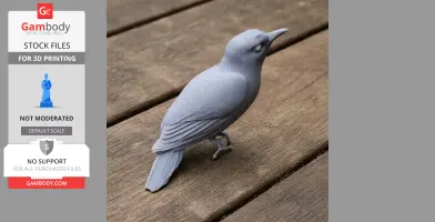 Banded bay cuckoo - Prehistoric Animal STL
