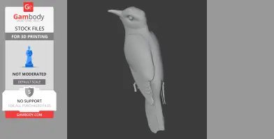 Banded bay cuckoo - Prehistoric Animal STL