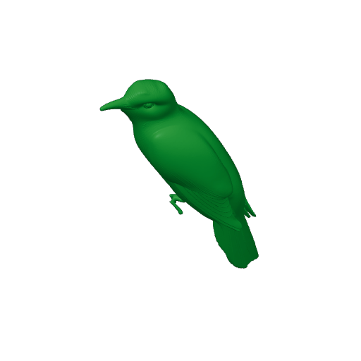 Banded bay cuckoo.3mf