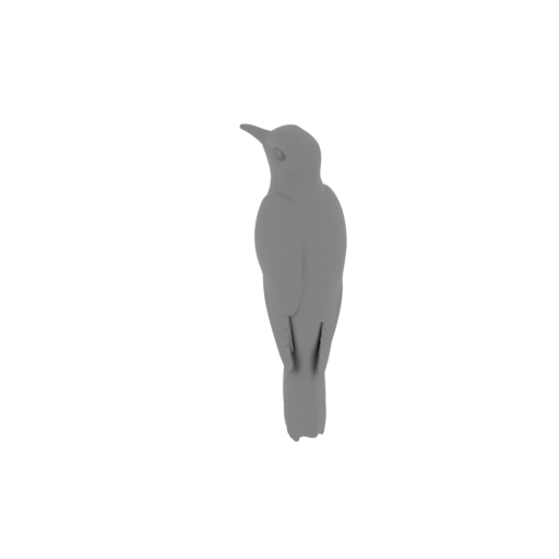 Banded bay cuckoo.stl