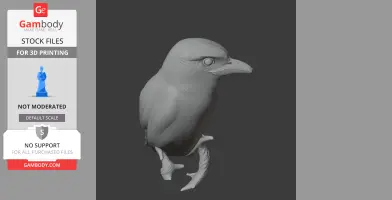Banded broadbill - Prehistoric Animal STL