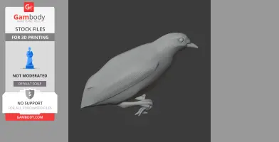 3D model of a prehistoric banded cotinga, designed for 3D printing, showing bird-like shape and details.