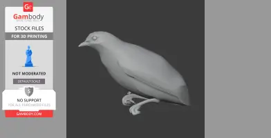 A 3D model of a banded cotinga, showcasing its distinctive curved beak and perched stance.