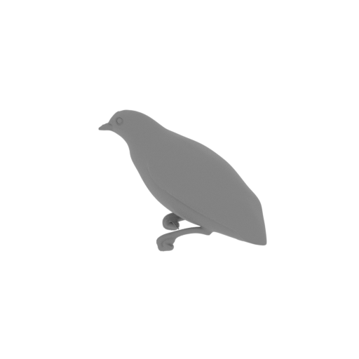 Banded cotinga.stl