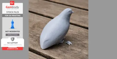 3D printed model of a stylized banded cotinga bird on a wooden surface.