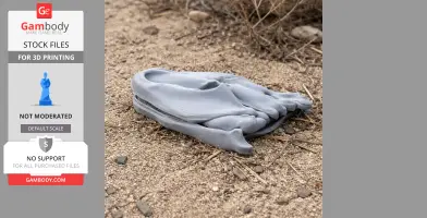 Tiktaalik Skull - Skull Replica STL