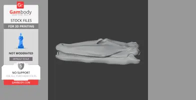 Tiktaalik Skull - Skull Replica STL