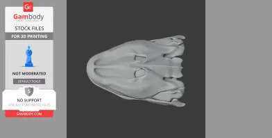 Tiktaalik Skull - Skull Replica STL
