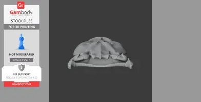 Tiktaalik Skull - Skull Replica STL