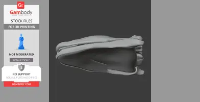 Tiktaalik Skull - Skull Replica STL