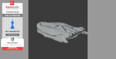 Tiktaalik Skull - Skull Replica STL